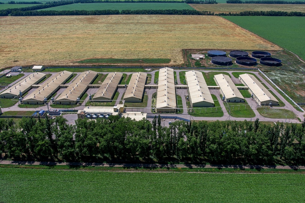 AgroholdingKuban-05.jpg AgroholdingKuban-05.jpg